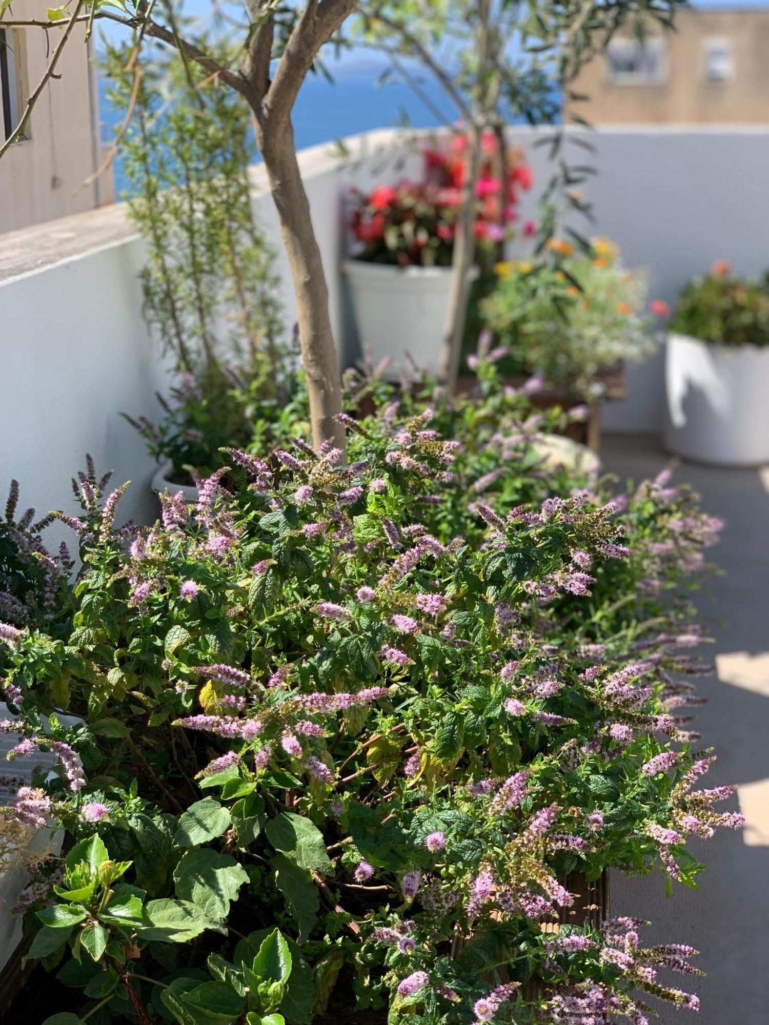 Dream Apartments Saranda מראה חיצוני תמונה